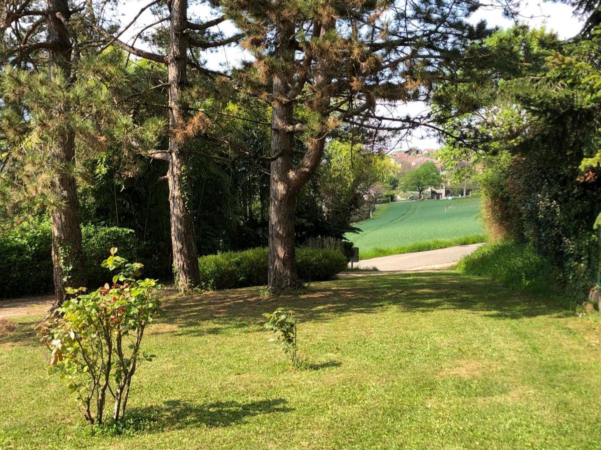 Maison De Lilie Chindrieux Exterior foto